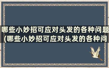 哪些小妙招可应对头发的各种问题(哪些小妙招可应对头发的各种问题)