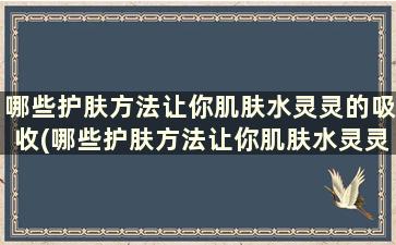 哪些护肤方法让你肌肤水灵灵的吸收(哪些护肤方法让你肌肤水灵灵润滑)