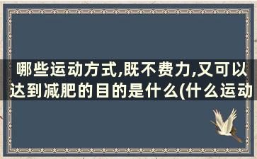 哪些运动方式,既不费力,又可以达到减肥的目的是什么(什么运动不费劲还能减肥)