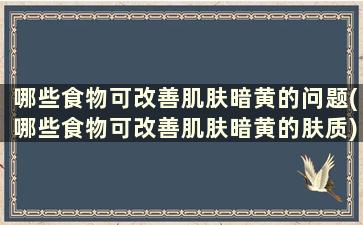 哪些食物可改善肌肤暗黄的问题(哪些食物可改善肌肤暗黄的肤质)