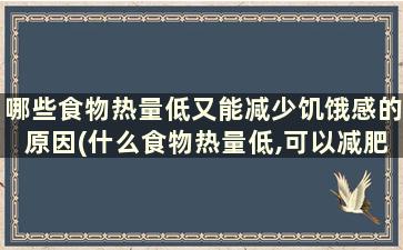 哪些食物热量低又能减少饥饿感的原因(什么食物热量低,可以减肥)