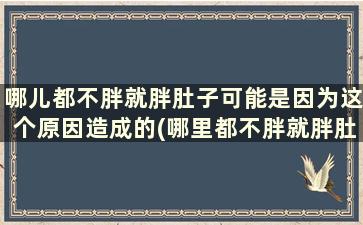 哪儿都不胖就胖肚子可能是因为这个原因造成的(哪里都不胖就胖肚子)