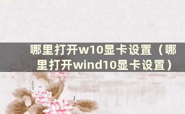 哪里打开w10显卡设置（哪里打开wind10显卡设置）