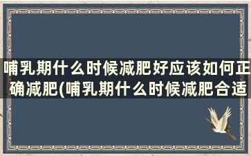 哺乳期什么时候减肥好应该如何正确减肥(哺乳期什么时候减肥合适)