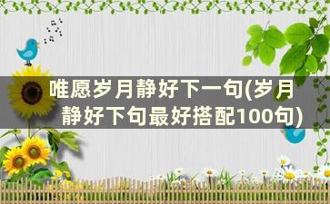 唯愿岁月静好下一句(岁月静好下句最好搭配100句)