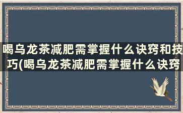 喝乌龙茶减肥需掌握什么诀窍和技巧(喝乌龙茶减肥需掌握什么诀窍和方法)