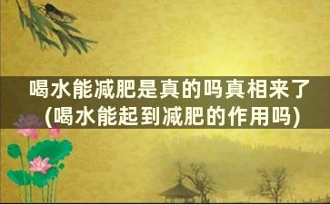 喝水能减肥是真的吗真相来了(喝水能起到减肥的作用吗)