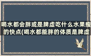 喝水都会胖或是脾虚吃什么水果瘦的快点(喝水都能胖的体质是脾虚吗)