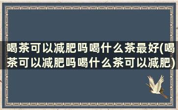 喝茶可以减肥吗喝什么茶最好(喝茶可以减肥吗喝什么茶可以减肥)