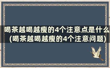 喝茶越喝越瘦的4个注意点是什么(喝茶越喝越瘦的4个注意问题)