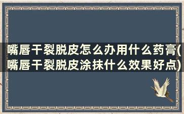 嘴唇干裂脱皮怎么办用什么药膏(嘴唇干裂脱皮涂抹什么效果好点)