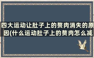 四大运动让肚子上的赘肉消失的原因(什么运动肚子上的赘肉怎么减最快)