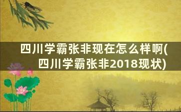 四川学霸张非现在怎么样啊(四川学霸张非2018现状)