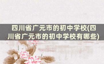 四川省广元市的初中学校(四川省广元市的初中学校有哪些)