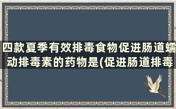 四款夏季有效排毒食物促进肠道蠕动排毒素的药物是(促进肠道排毒的食物)