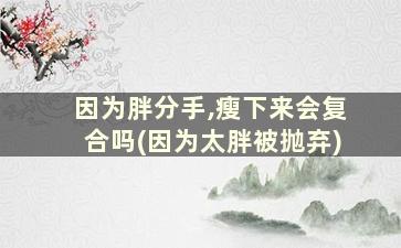 因为胖分手,瘦下来会复合吗(因为太胖被抛弃)