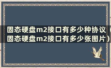 固态硬盘m2接口有多少种协议（固态硬盘m2接口有多少张图片）