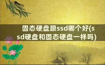 固态硬盘跟ssd哪个好(ssd硬盘和固态硬盘一样吗)