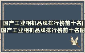 国产工业相机品牌排行榜前十名(国产工业相机品牌排行榜前十名图片)