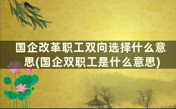 国企改革职工双向选择什么意思(国企双职工是什么意思)