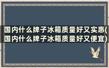 国内什么牌子冰箱质量好又实惠(国内什么牌子冰箱质量好又便宜)