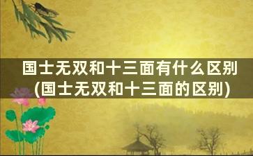 国士无双和十三面有什么区别(国士无双和十三面的区别)