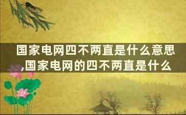 国家电网四不两直是什么意思,国家电网的四不两直是什么