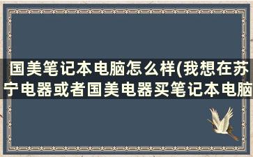 国美笔记本电脑怎么样(我想在苏宁电器或者国美电器买笔记本电脑怎么样有保障吗)