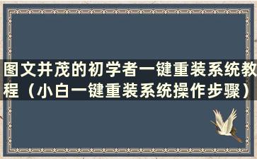 图文并茂的初学者一键重装系统教程（小白一键重装系统操作步骤）