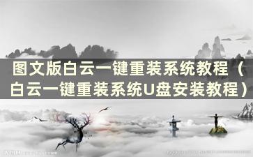 图文版白云一键重装系统教程（白云一键重装系统U盘安装教程）