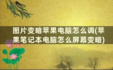 图片变暗苹果电脑怎么调(苹果笔记本电脑怎么屏幕变暗)