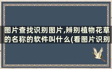 图片查找识别图片,辨别植物花草的名称的软件叫什么(看图片识别植物的软件)