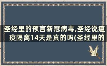 圣经里的预言新冠病毒,圣经说瘟疫隔离14天是真的吗(圣经里的预言新冠病毒,圣经说瘟疫隔离14天是啥意思)