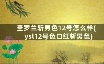 圣罗兰斩男色12号怎么样(ysl12号色口红斩男色)