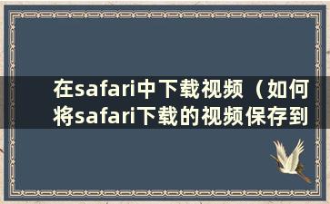 在safari中下载视频（如何将safari下载的视频保存到本地）