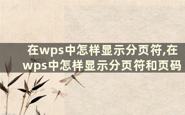 在wps中怎样显示分页符,在wps中怎样显示分页符和页码