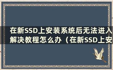 在新SSD上安装系统后无法进入解决教程怎么办（在新SSD上安装系统后无法进入解决教程界面）