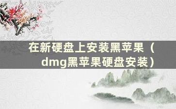 在新硬盘上安装黑苹果（dmg黑苹果硬盘安装）