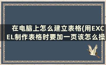 在电脑上怎么建立表格(用EXCEL制作表格时要加一页该怎么操作)