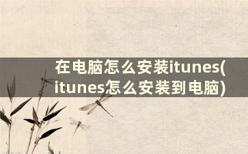 在电脑怎么安装itunes(itunes怎么安装到电脑)