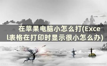 在苹果电脑小怎么打(Excel表格在打印时显示很小怎么办)