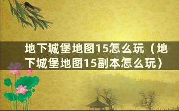 地下城堡地图15怎么玩（地下城堡地图15副本怎么玩）