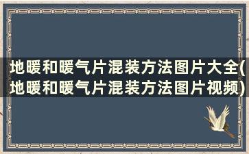 地暖和暖气片混装方法图片大全(地暖和暖气片混装方法图片视频)