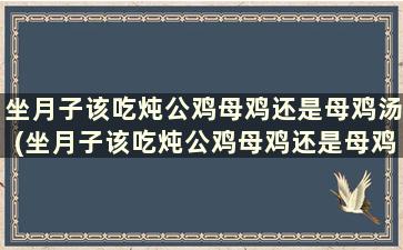 坐月子该吃炖公鸡母鸡还是母鸡汤(坐月子该吃炖公鸡母鸡还是母鸡汤好)