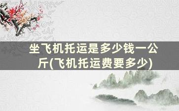 坐飞机托运是多少钱一公斤(飞机托运费要多少)