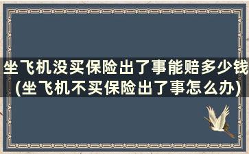 坐飞机没买保险出了事能赔多少钱(坐飞机不买保险出了事怎么办)