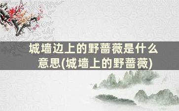 城墙边上的野蔷薇是什么意思(城墙上的野蔷薇)