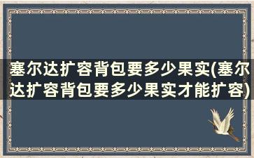 塞尔达扩容背包要多少果实(塞尔达扩容背包要多少果实才能扩容)