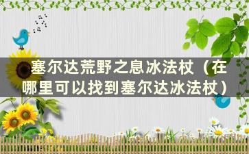 塞尔达荒野之息冰法杖（在哪里可以找到塞尔达冰法杖）