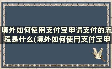 境外如何使用支付宝申请支付的流程是什么(境外如何使用支付宝申请支付的流程是什么意思)